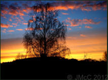 'Stourpaine Sunsets' displayed here are copyright  J McCavitt 2012