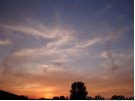 'Stourpaine Sunsets' displayed here are copyright � J McCavitt 2012