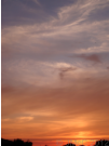 'Stourpaine Sunsets' displayed here are copyright � J McCavitt 2012