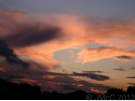 'Stourpaine Sunsets' displayed here are copyright � J McCavitt 2012