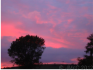'Stourpaine Sunsets' displayed here are copyright � J McCavitt 2012