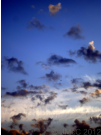 'Clouds' displayed here are copyright � J McCavitt 2012